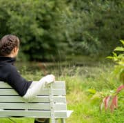 Bench at the pond