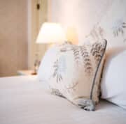 Blue Room detail 3