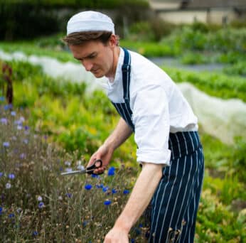 Copy of Ballymaloe (253)