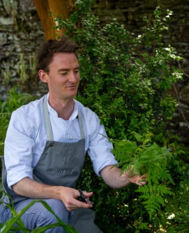 JR picking herbs