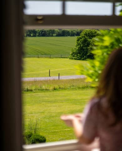 Looking out the window