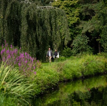 Walking around the pond