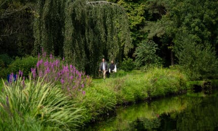 Walking around the pond