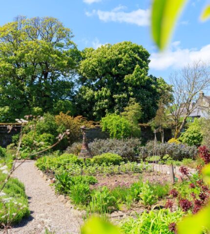 Walled Garden Summer