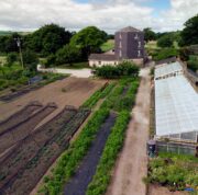 Walled garden-image