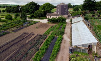 Walled garden-image