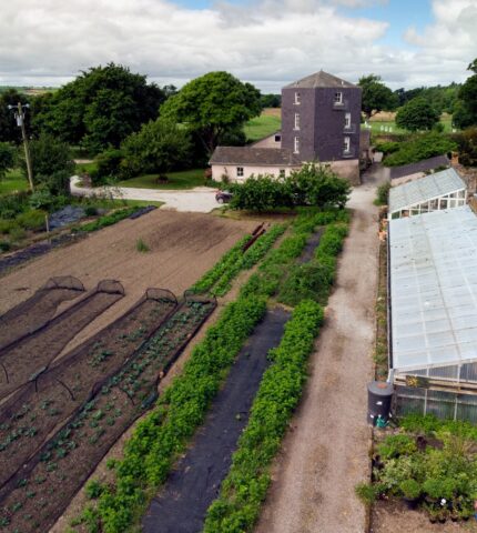 Walled garden-image