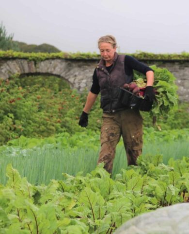 Walled garden with Mags