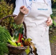Winter farm to fork