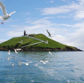 ballycotton-sea-adventures