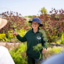 Walled Garden Tour