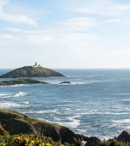 Ballymaloe_Cliff Walk 1800x1200 SLH