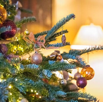 Ballymaloe House Hotel at Christmas. Photo Joleen Cronin