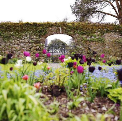 Spring Breaks in Cork: A Gentle Reset at Ballymaloe House Hotel