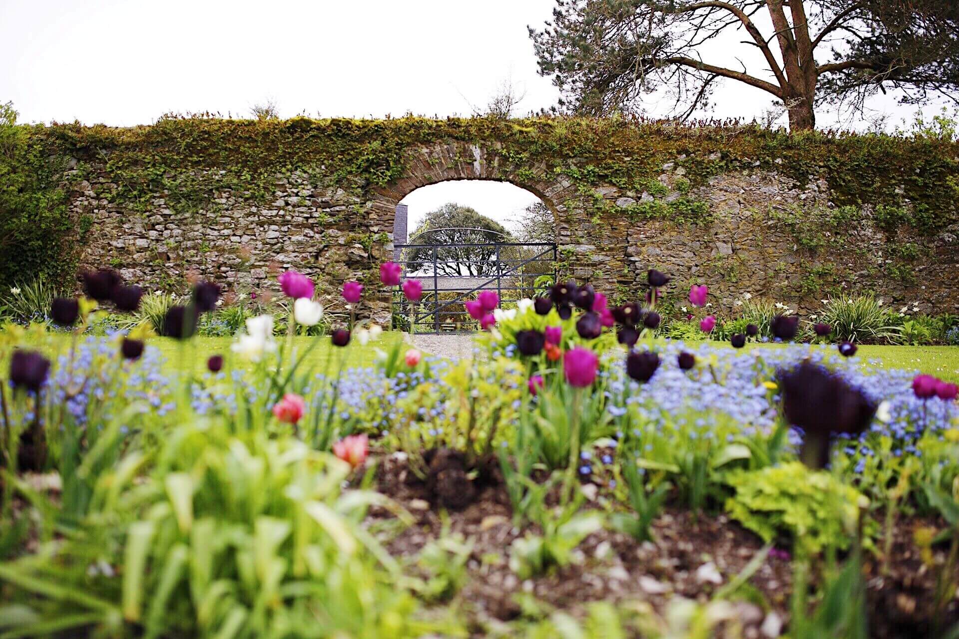 Spring Breaks in Cork: A Gentle Reset at Ballymaloe House Hotel